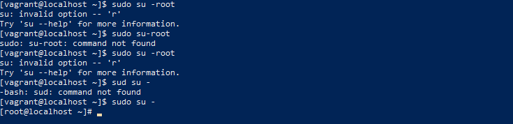 Linux terminal from the VM with root access